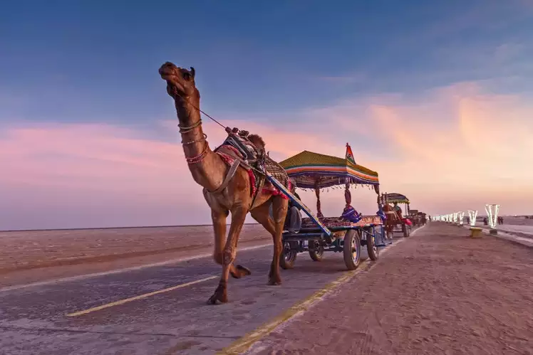 Vibrant Gujarat Holiday